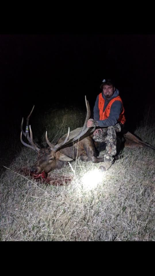 Hunting trophy